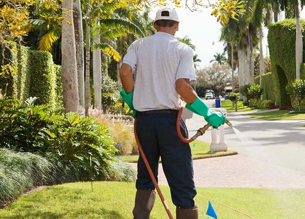About Bend TX Pest Control